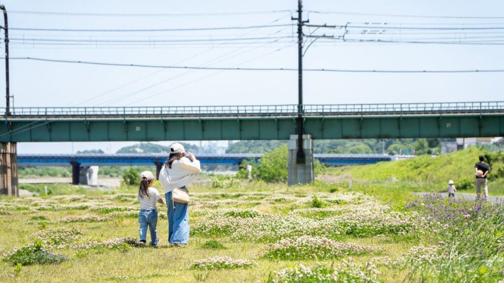 多摩川河川敷