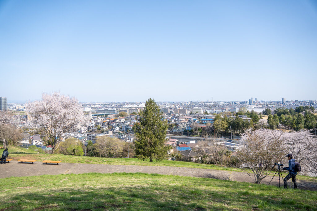 ゆうひの丘｜桜ヶ丘公園 