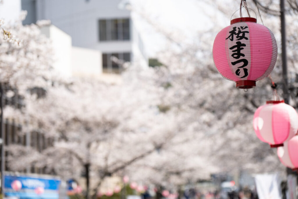 せいせき桜まつり