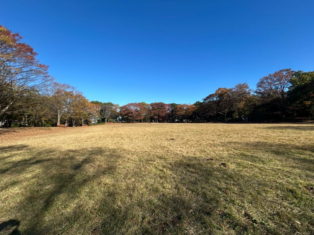 大谷戸公園｜桜ヶ丘公園