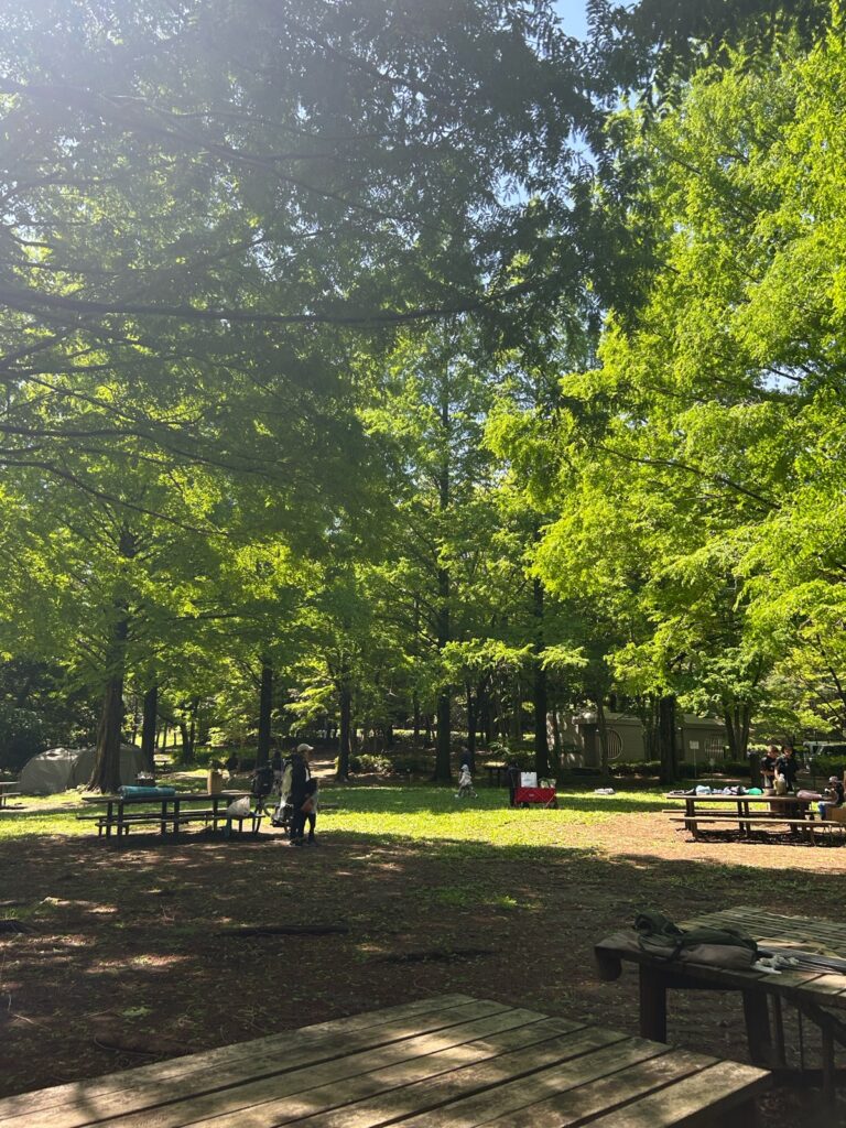 大谷戸公園キャンプ練習場｜桜ヶ丘公園