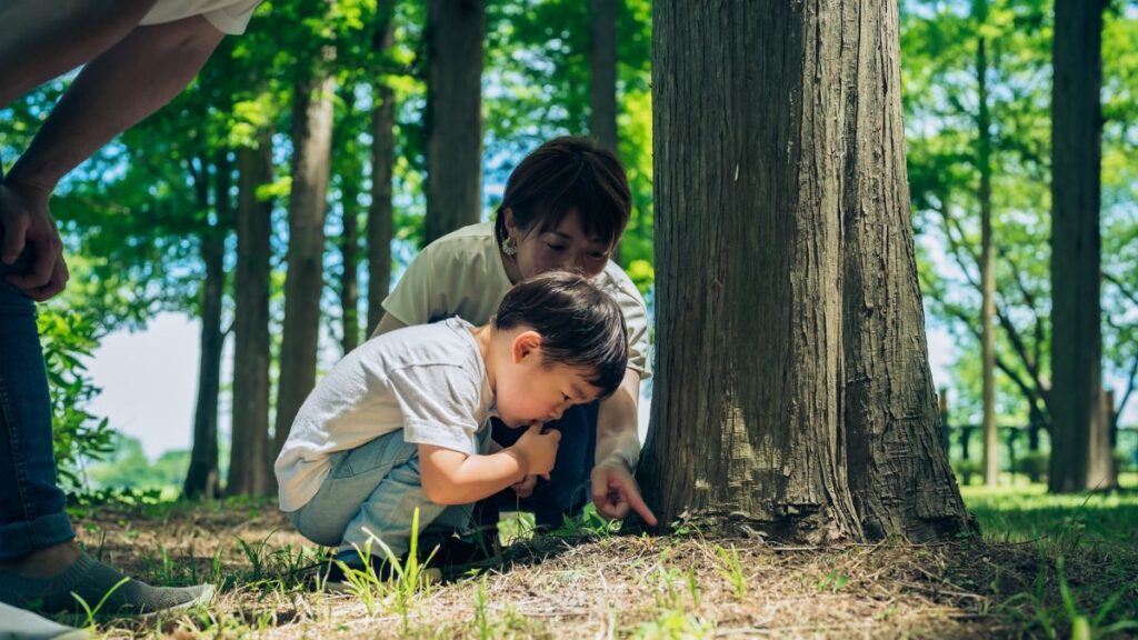 子供　自然　体験
