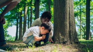 子供　自然　体験
