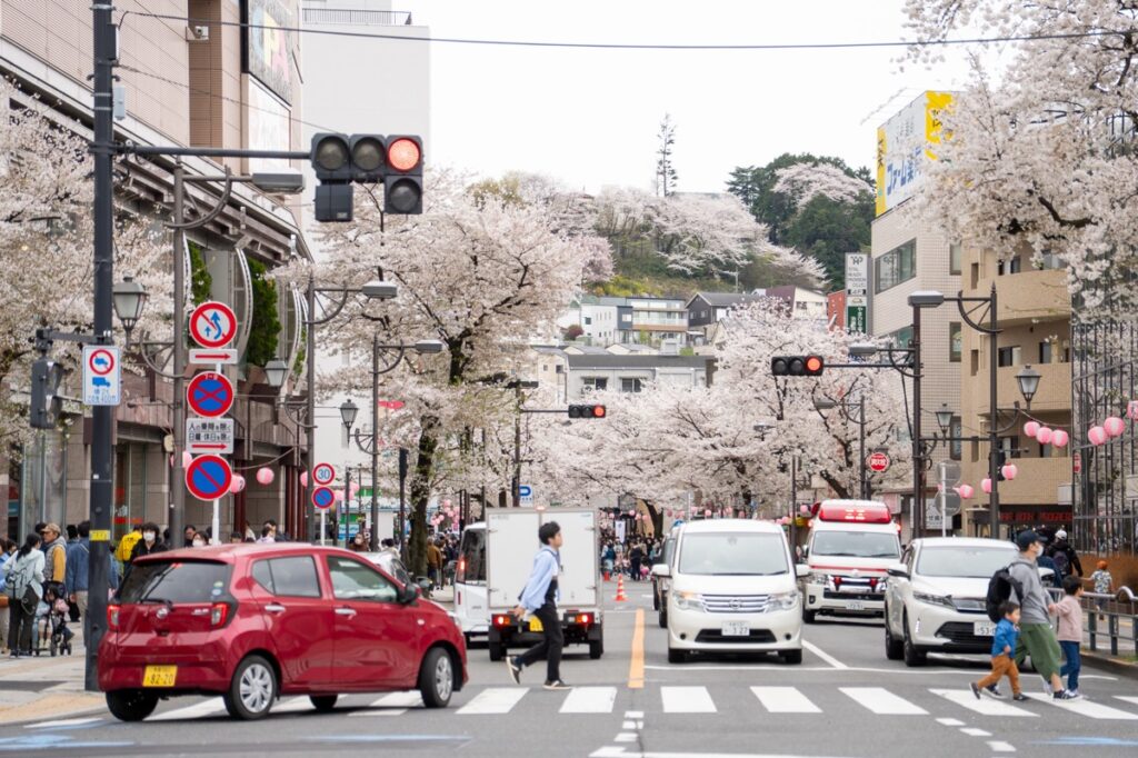 さくら通り